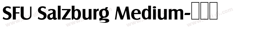 SFU Salzburg Medium字体转换